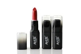 Amuse Color Squared Creamy Matte Lipstick