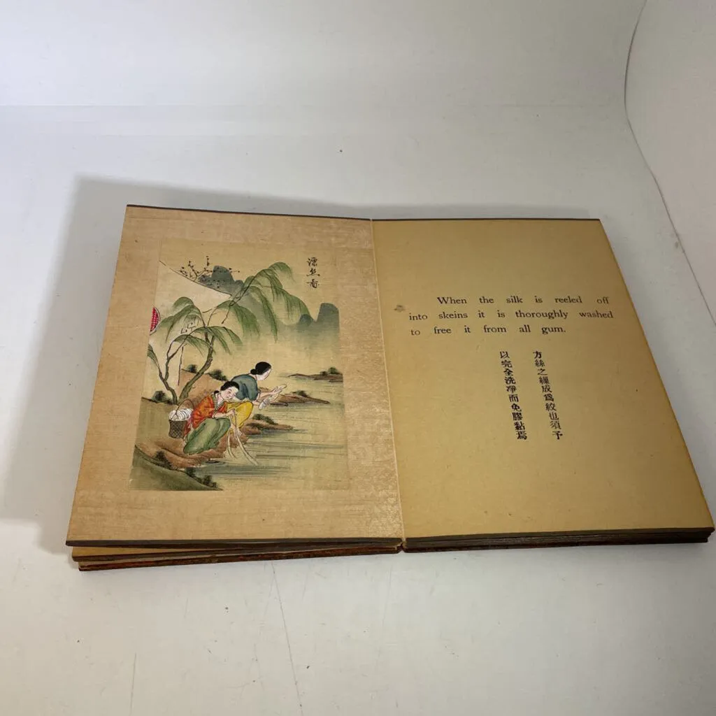 Chinese Hand Painted Book