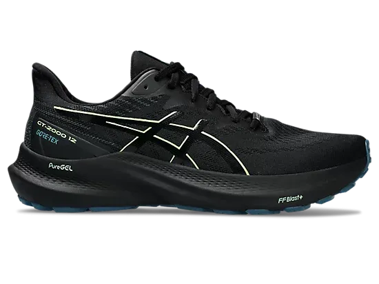 Men's GT-2000 12 GTX