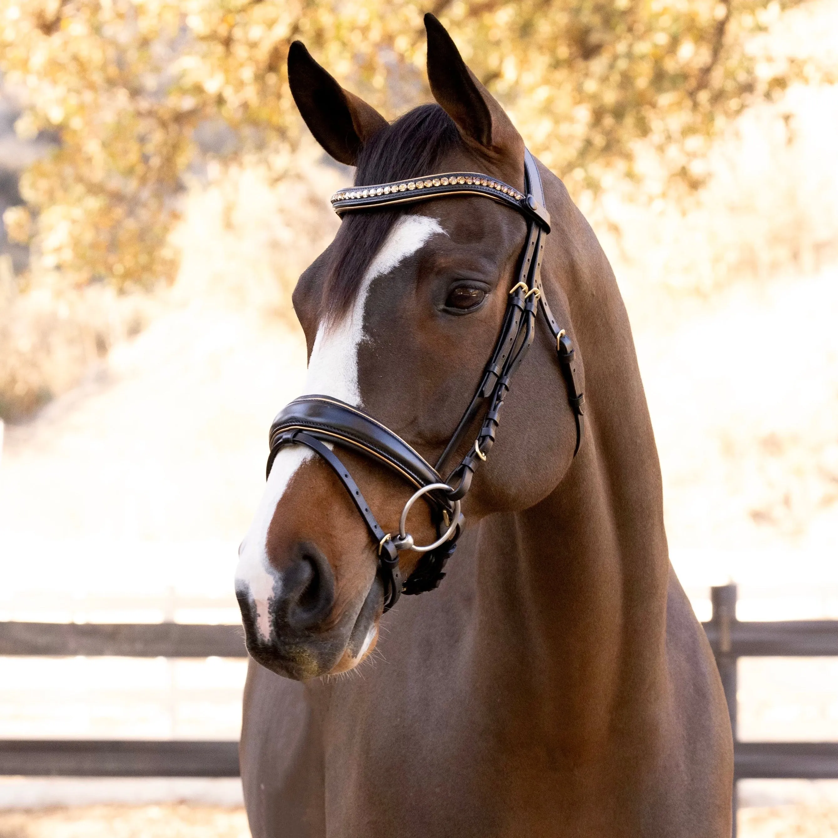 Milan - Black Leather Snaffle Bridle with Burnished Gold Piping