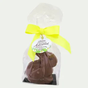 Milk Chocolate Hollow Sitting Bunny (SALE)